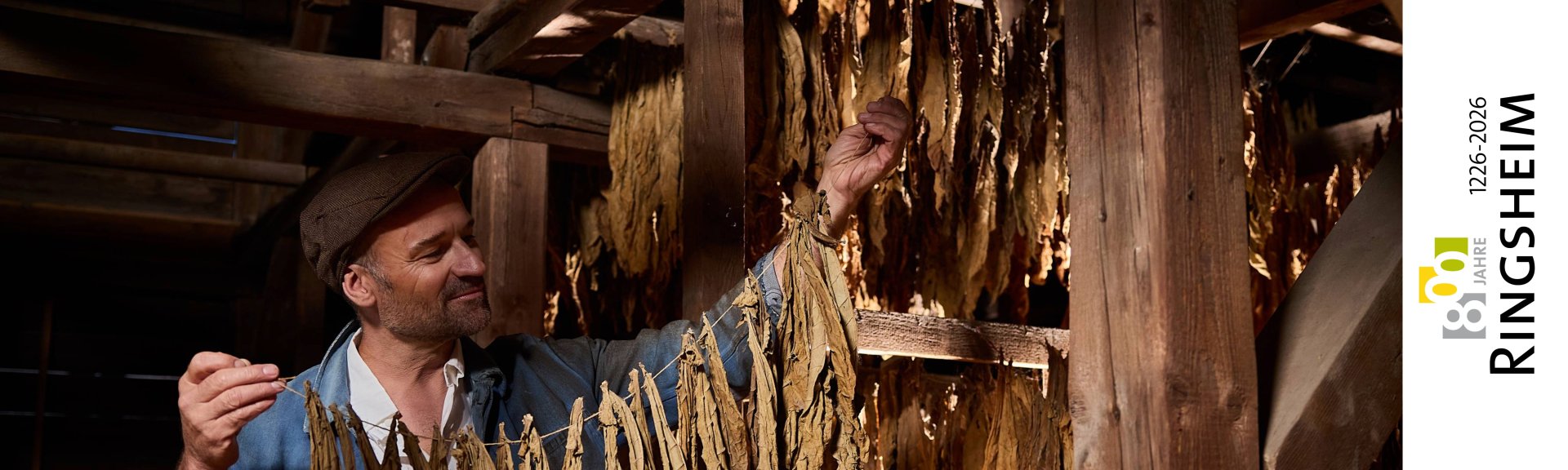 Blick auf Ringsheim Rathaus Ringsheim